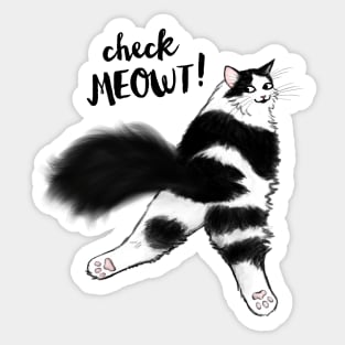 Check Meowt! Funny Cat Sploot | Black and White Cat Sticker